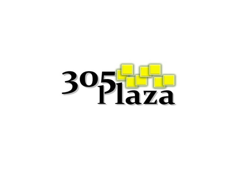 305 Plaza